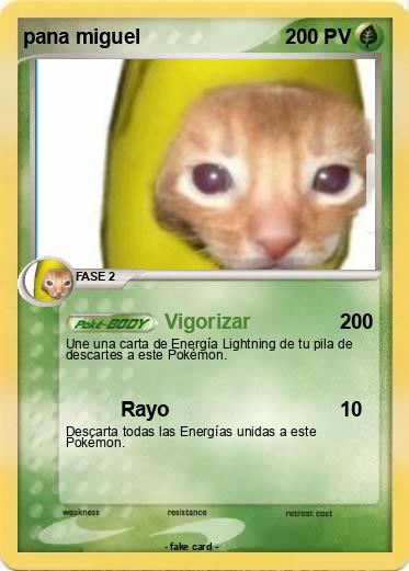 Pokemon pana miguel