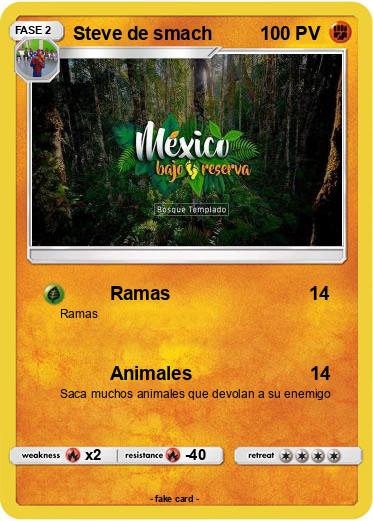 Pokemon Steve de smach