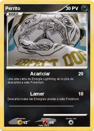 Pokemon Perrito