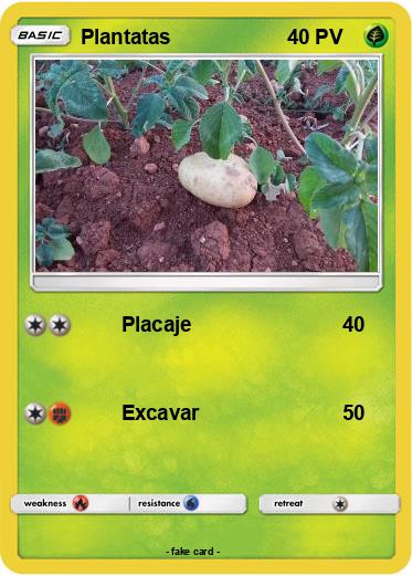 Pokemon Plantatas