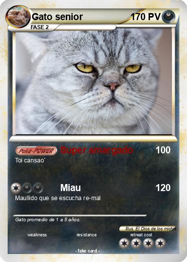 Pokemon Gato senior