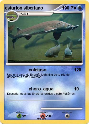 Pokemon esturion siberiano