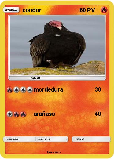 Pokemon condor