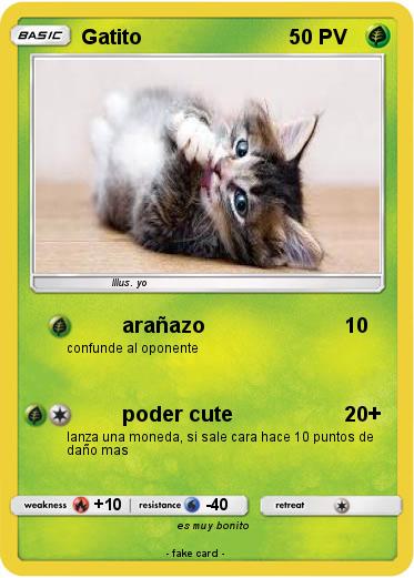 Pokemon Gatito