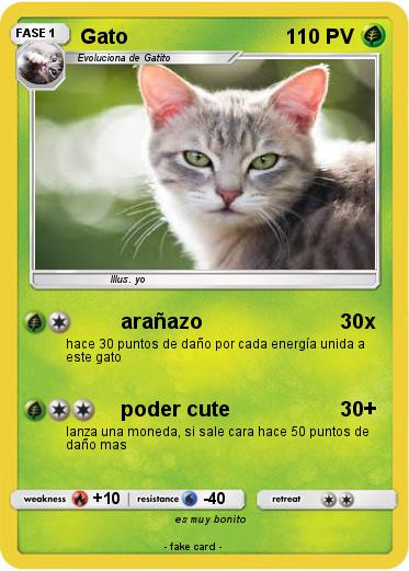 Pokemon Gato