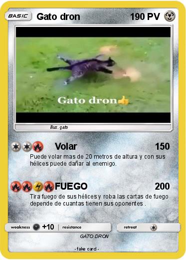 Pokemon Gato dron