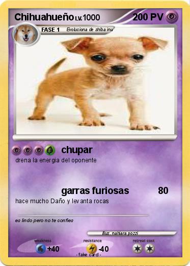 Pokemon Chihuahueño