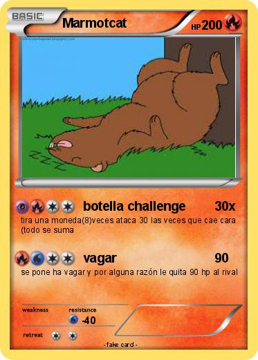 Pokemon Marmotcat