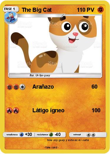 Pokemon The Big Cat