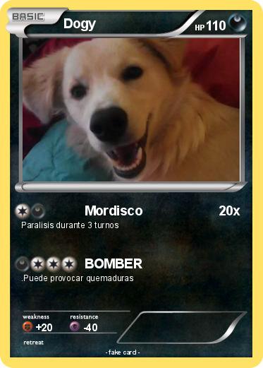 Pokemon Dogy