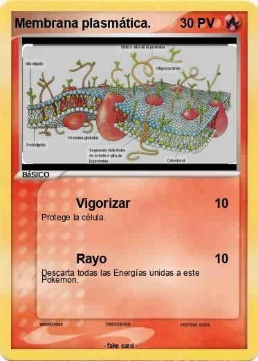 Pokemon Membrana plasmática.
