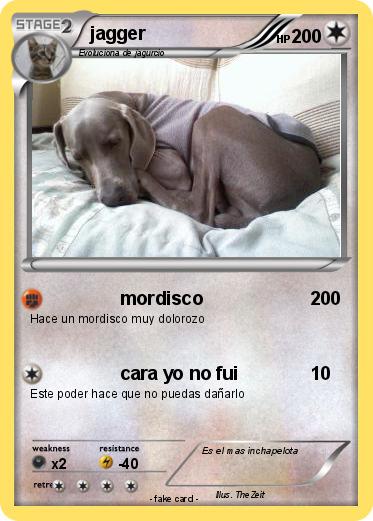 Pokemon jagger