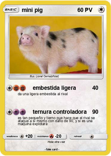 Pokemon mini pig