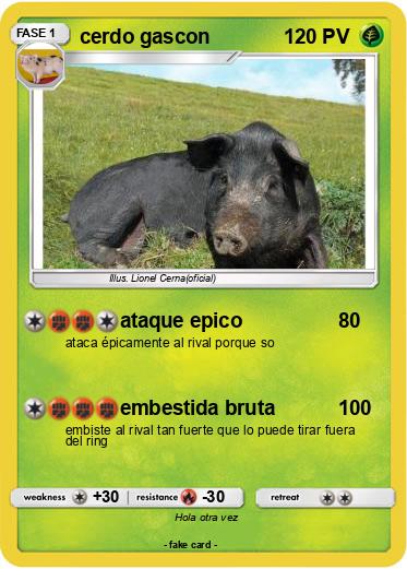 Pokemon cerdo gascon
