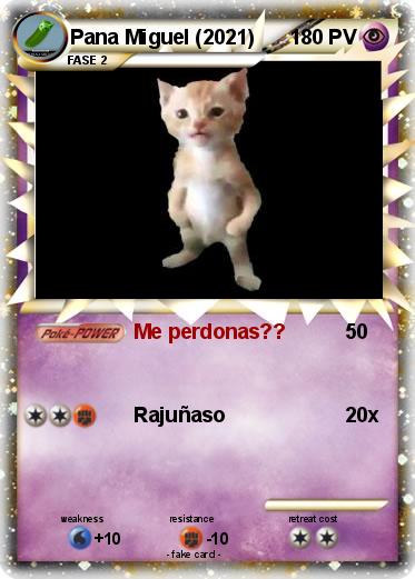 Pokemon Pana Miguel (2021)