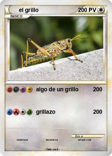 Pokemon el grillo