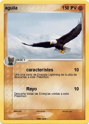 Pokemon aguila