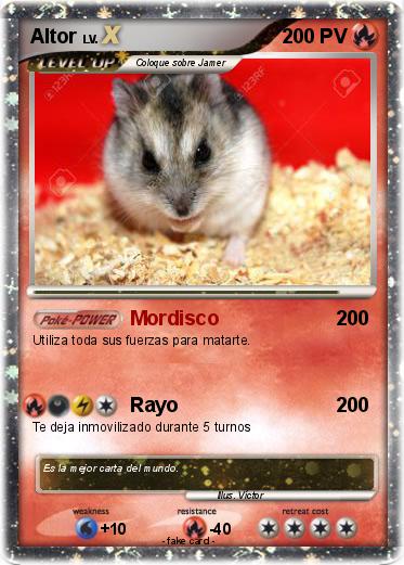 Pokemon Altor