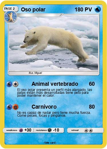 Pokemon Oso polar