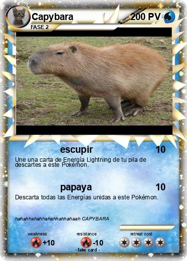 Pokemon Capybara