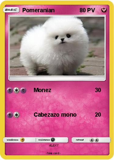 Pokemon Pomeranian