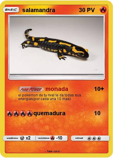 Pokemon salamandra
