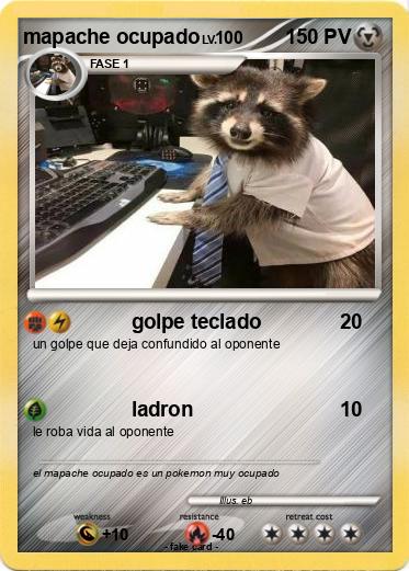 Pokemon mapache ocupado