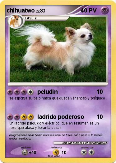 Pokemon chihuatwo