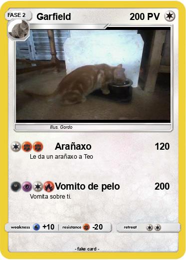 Pokemon Garfield