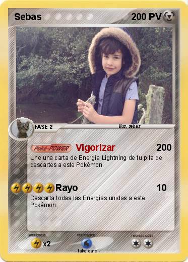 Pokemon Sebas