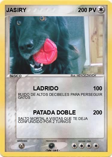 Pokemon JASIRY