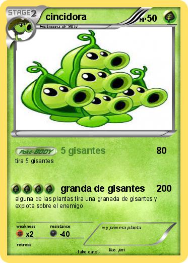 Pokemon cincidora