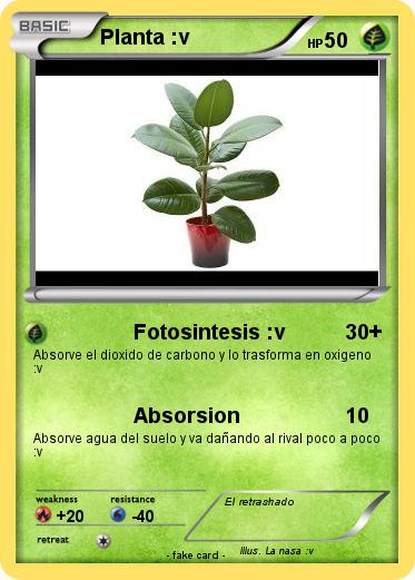 Pokemon Planta :v