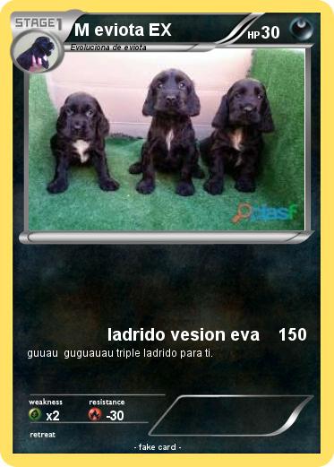 Pokemon M eviota EX