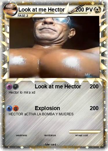 Pokemon Look at me Hector