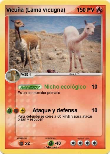 Pokemon Vicuña (Lama vicugna)