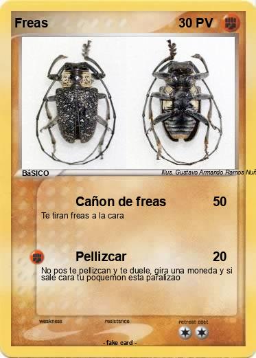 Pokemon Freas