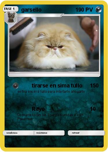 Pokemon garsello