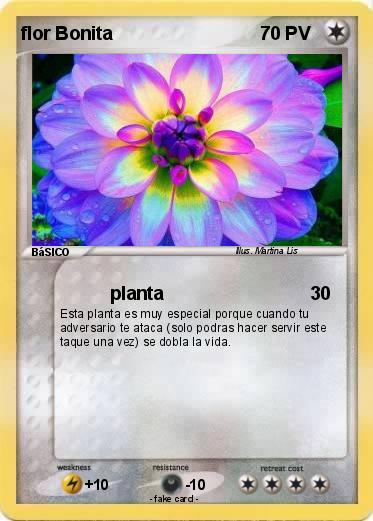 Pokemon flor Bonita