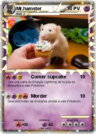 Pokemon Mr.hamster