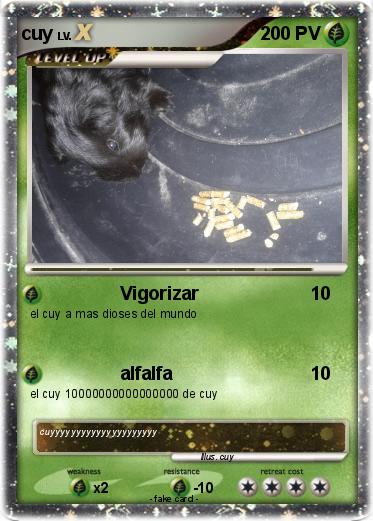 Pokemon cuy