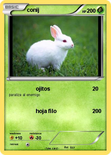 Pokemon conij