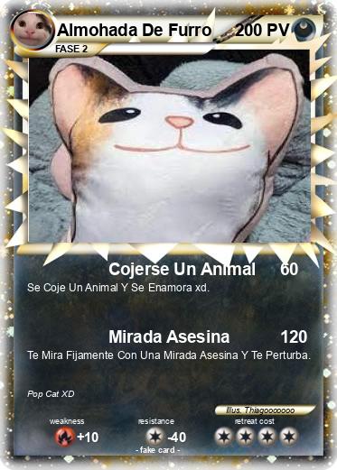 Pokemon Almohada De Furro