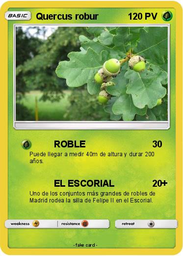 Pokemon Quercus robur