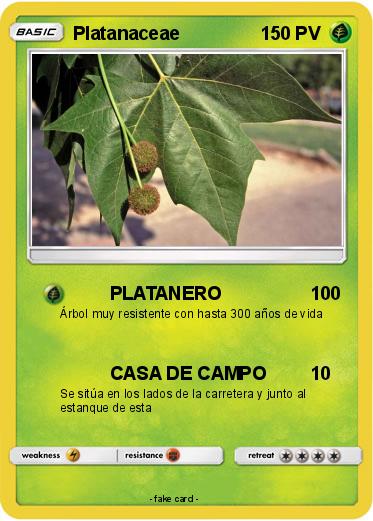 Pokemon Platanaceae