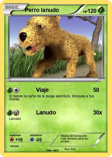 Pokemon Perro lanudo