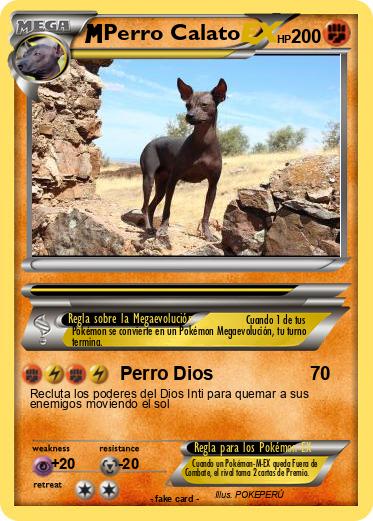 Pokemon Perro Calato