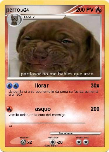 Pokemon perro