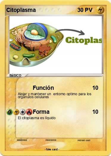 Pokemon Citoplasma