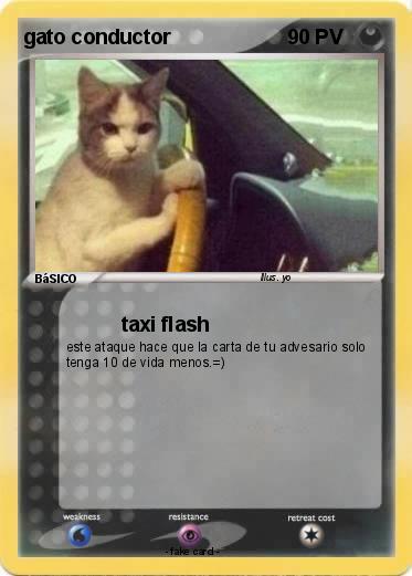 Pokemon gato conductor